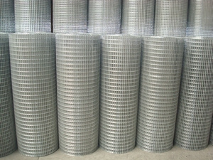 Galvanized Wire Mesh