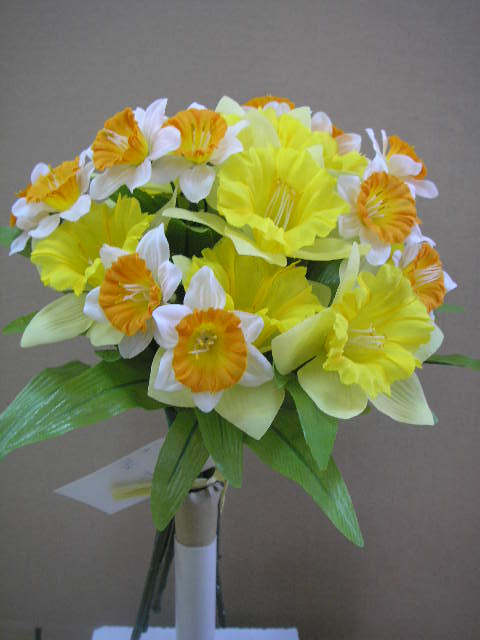 Daffodil