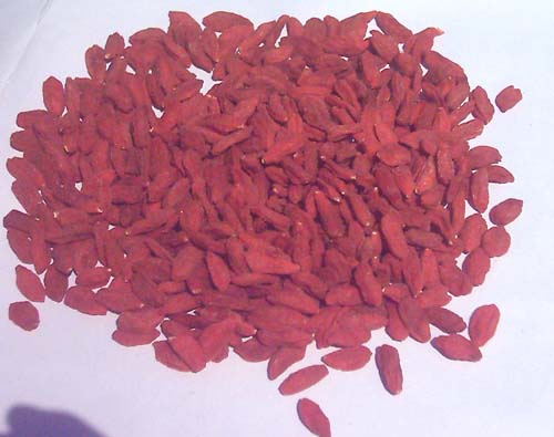 Barbary Wolfberry Fruit (Fructus Lycii, Goji Berry)
