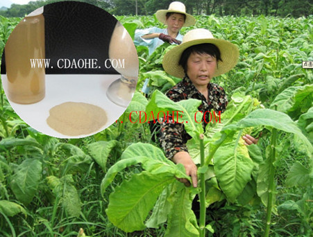 Amino Acid Chelate Cu-Fe-Zn-Mn-B Fertilizer