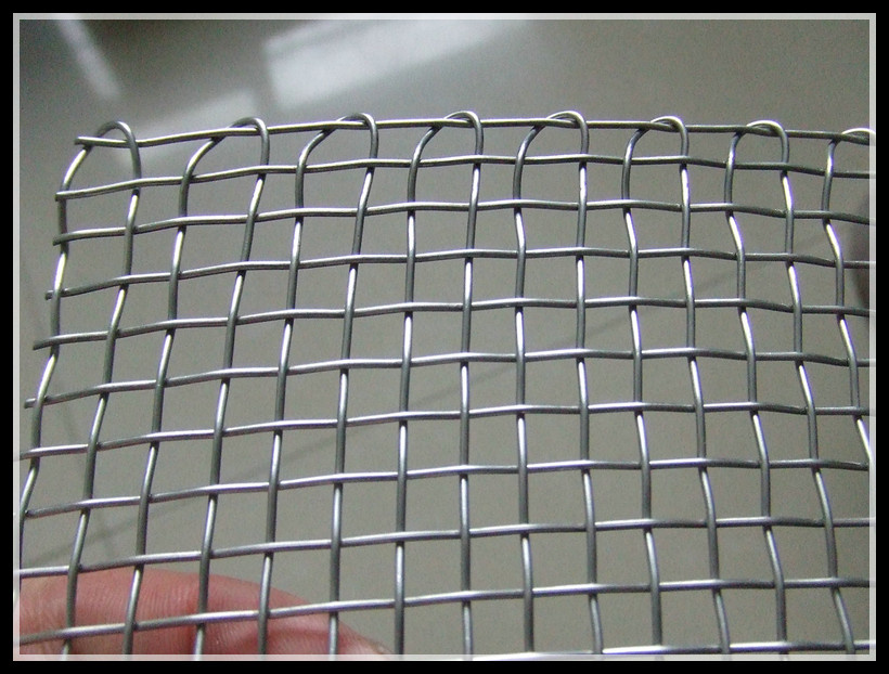High Quality Galvanized Square Wire Mesh