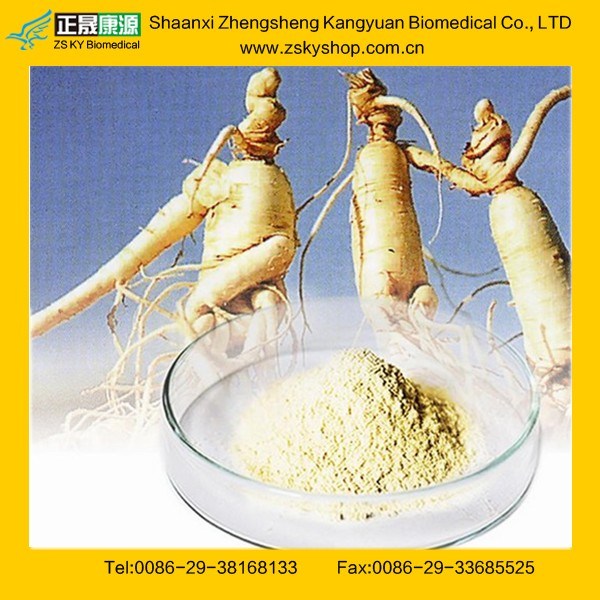 GMP Manfuacturer Supply Ginseng Extract with 80% Ginsenosides