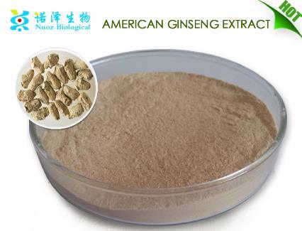 High Quality American Ginseng Extract Powder