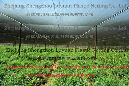 Shade Net - 2