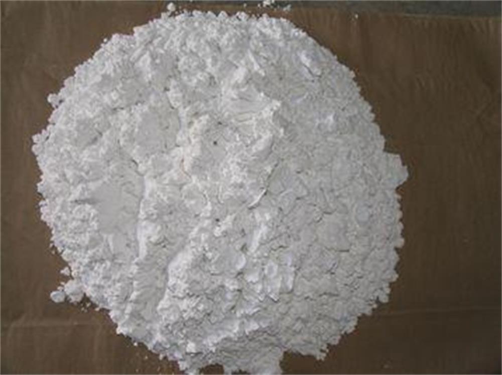China White Diatomaceous Earth Powder