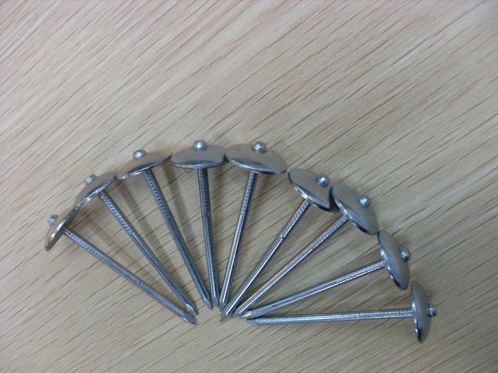 Galvanized Roofing Nail with Smooth Shank