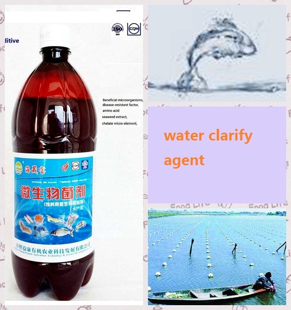 . Algae Biobacterial Agent Used for Aquacultture Water Purifying