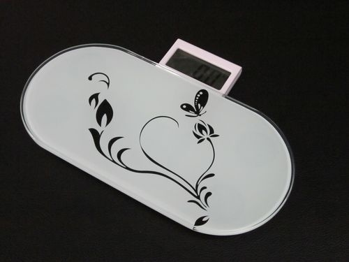 Portable Digital Weighing Indicator (X1-WF5)