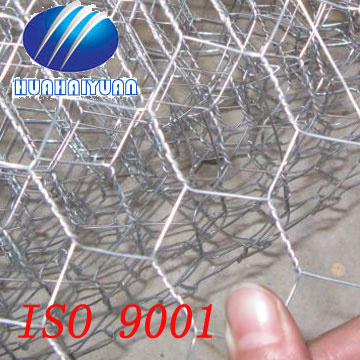 Wire Netting (HHY-LIUJIAOWANG)