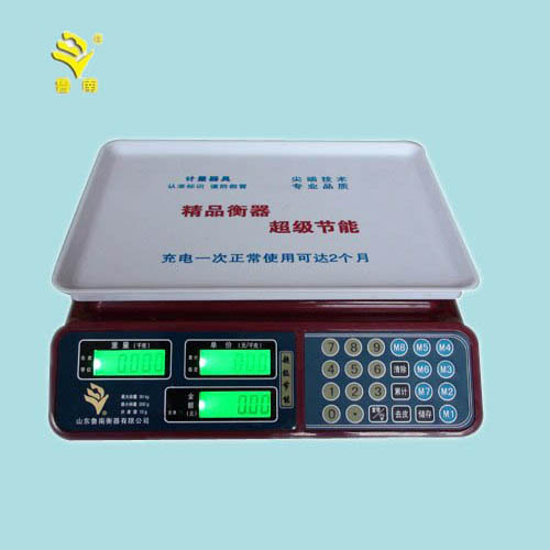Electronic Price Computing Scale