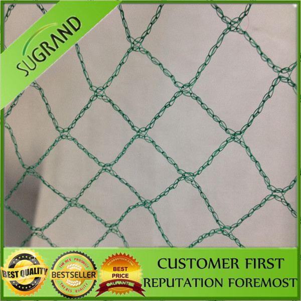 Wholesale New Arrival PE Anti Bird Mesh Net