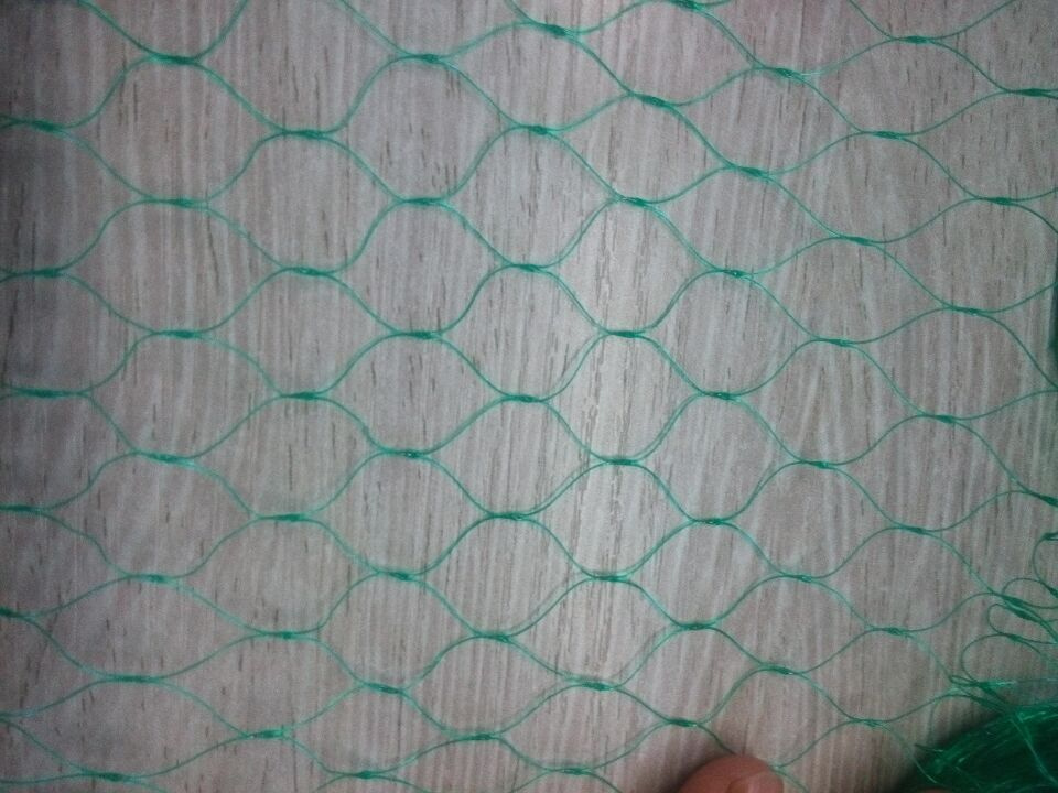 China Factory Direct Sale of Green Bird Net