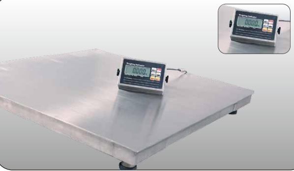 Floor Scale