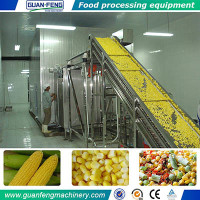 IQF Freezer for Frozen Food Processing
