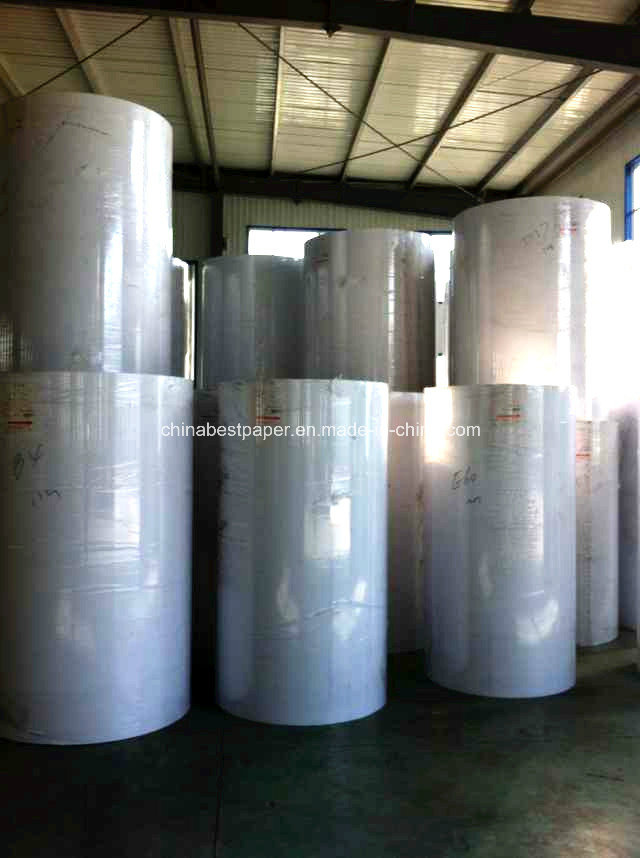 70GSM Offset Paper in Roll