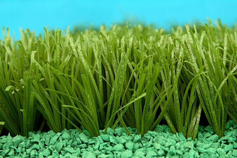Artificial Grass