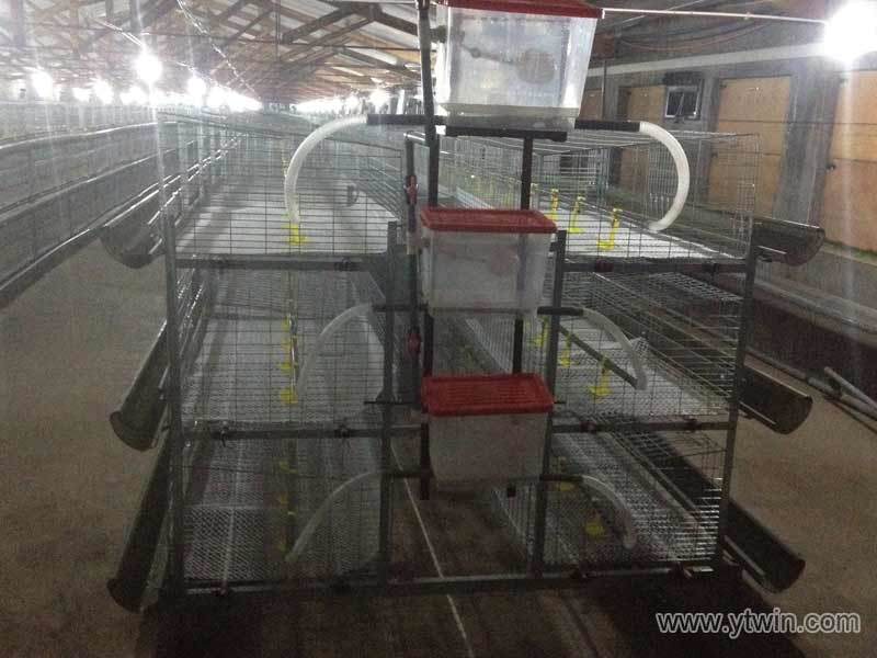 Poultry Cage