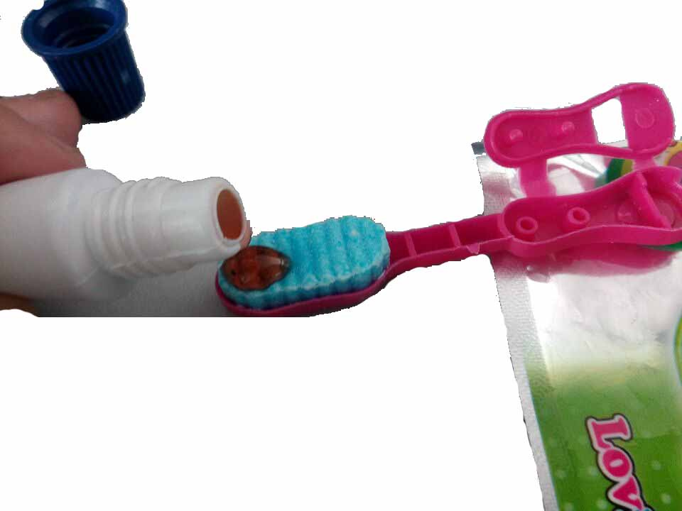 Tooth Brush Paste Candy