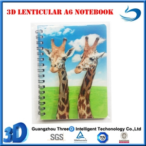 3D Notebook