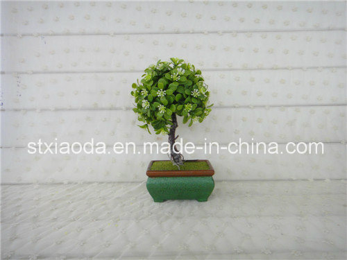 Artificial Plastic Potted Flower (XD14-252)