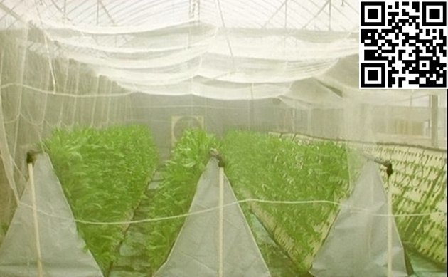 Meyabond Shade Netting, Anti Insect Net (MYB-002)