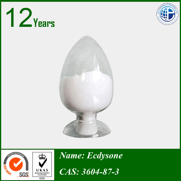 High Quality Powder 3604-87-3 Ecdysone