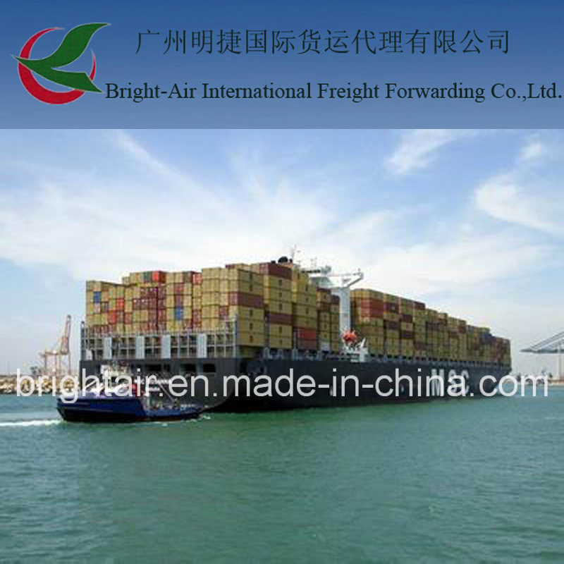 Efficient Freight Broker From China to Santos, Brazil