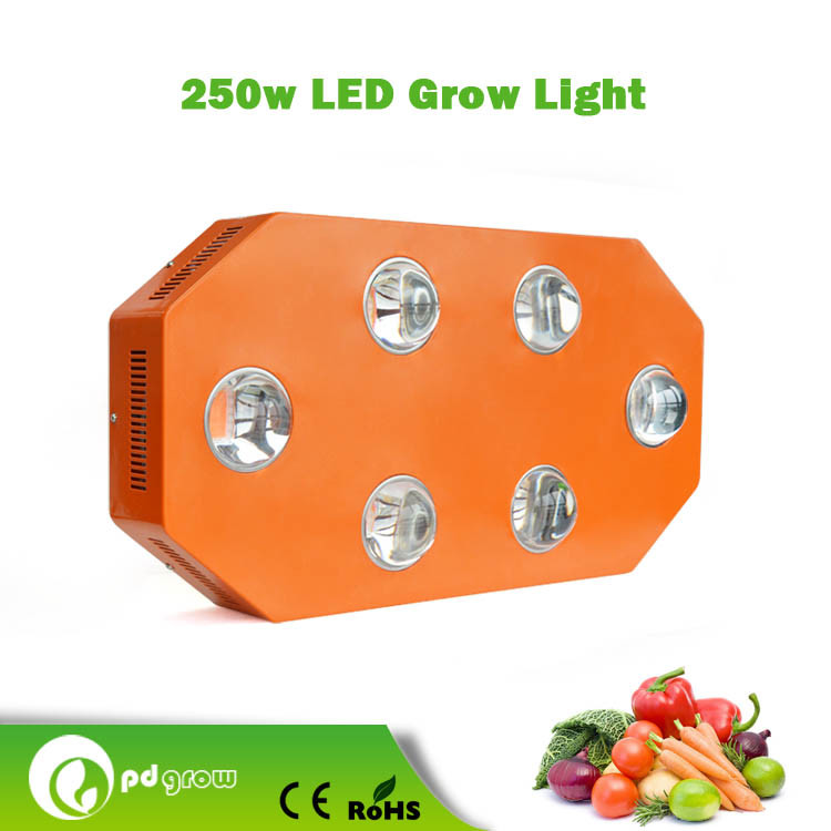China Manufacturer Wholesale 250W LED Lamps LED Grow Light