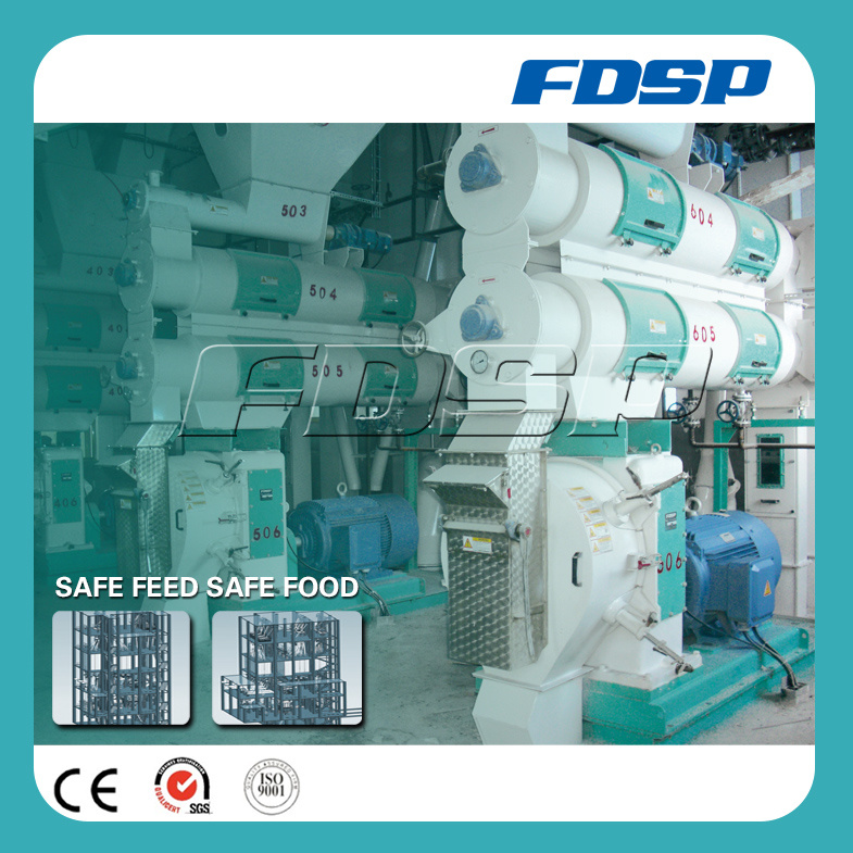 Professional Supplier Poultry Feed Manufacturing Plant