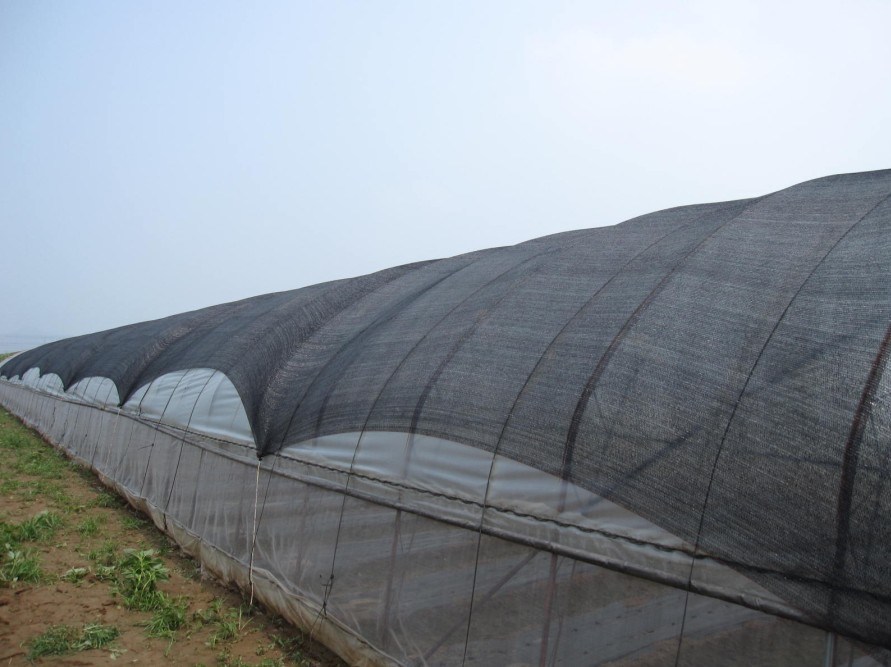 Agriculture Black Shade Net for Greenhouse