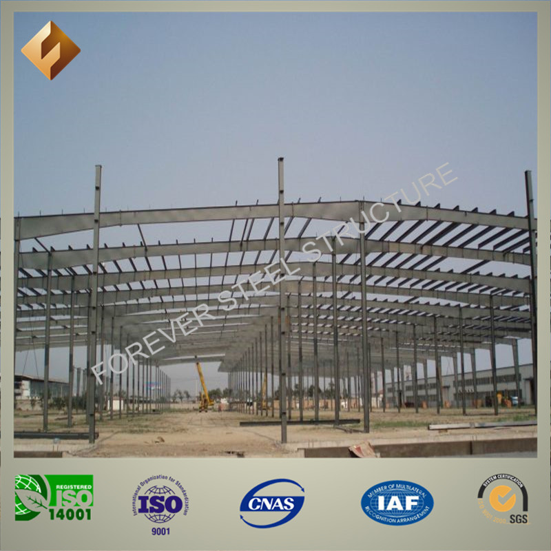 Widely Used Light Steel Structure for Workshop
