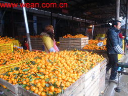 Nanfeng Orange