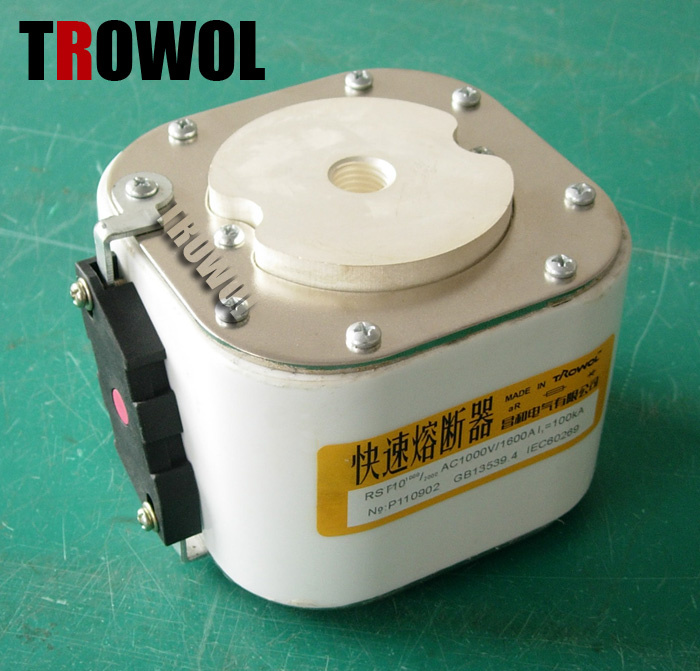 Semiconductor Fuse (RS8 P1m107S)