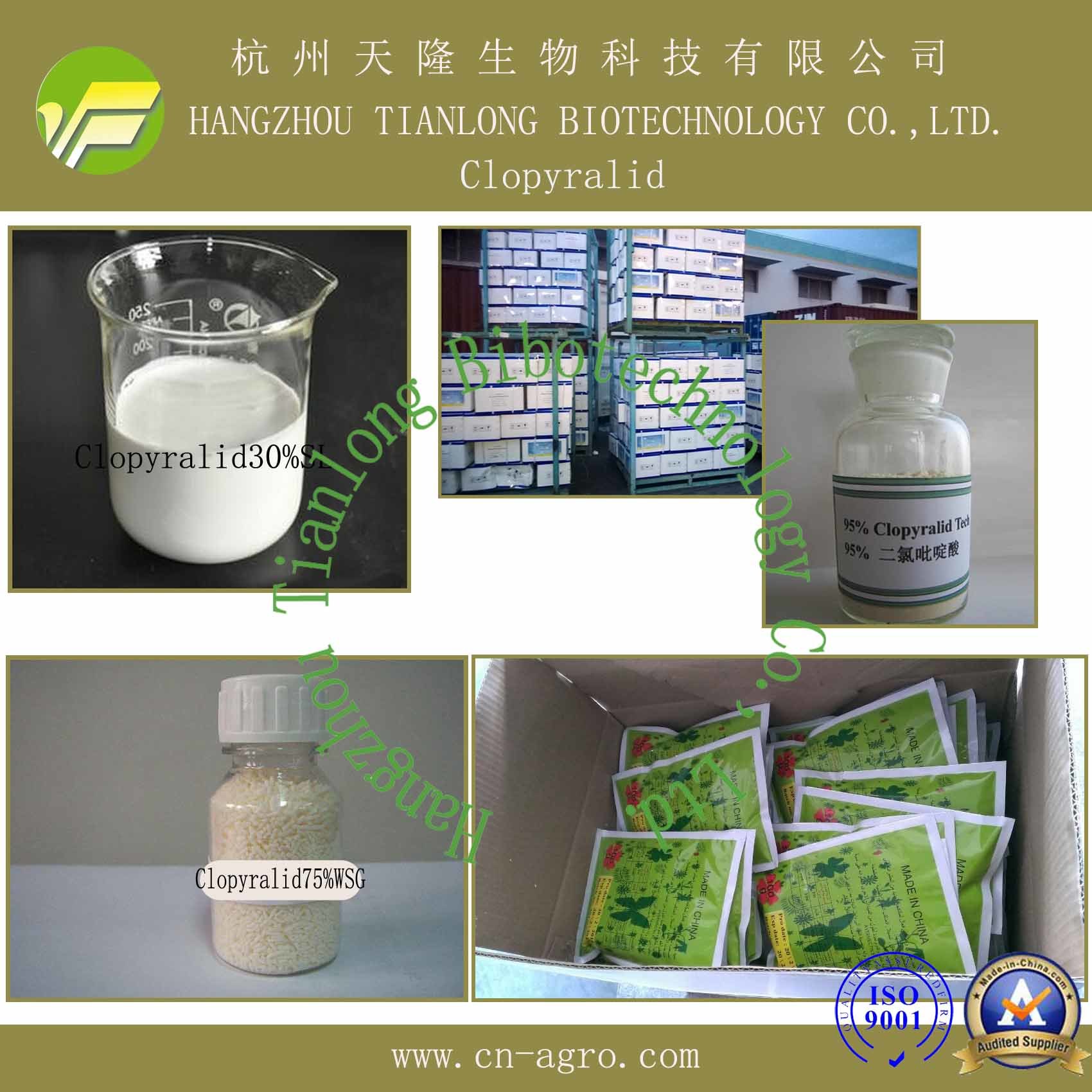 Price Preferential Herbicide Clopyralid (95%TC, 30%SL, 75%WSG)