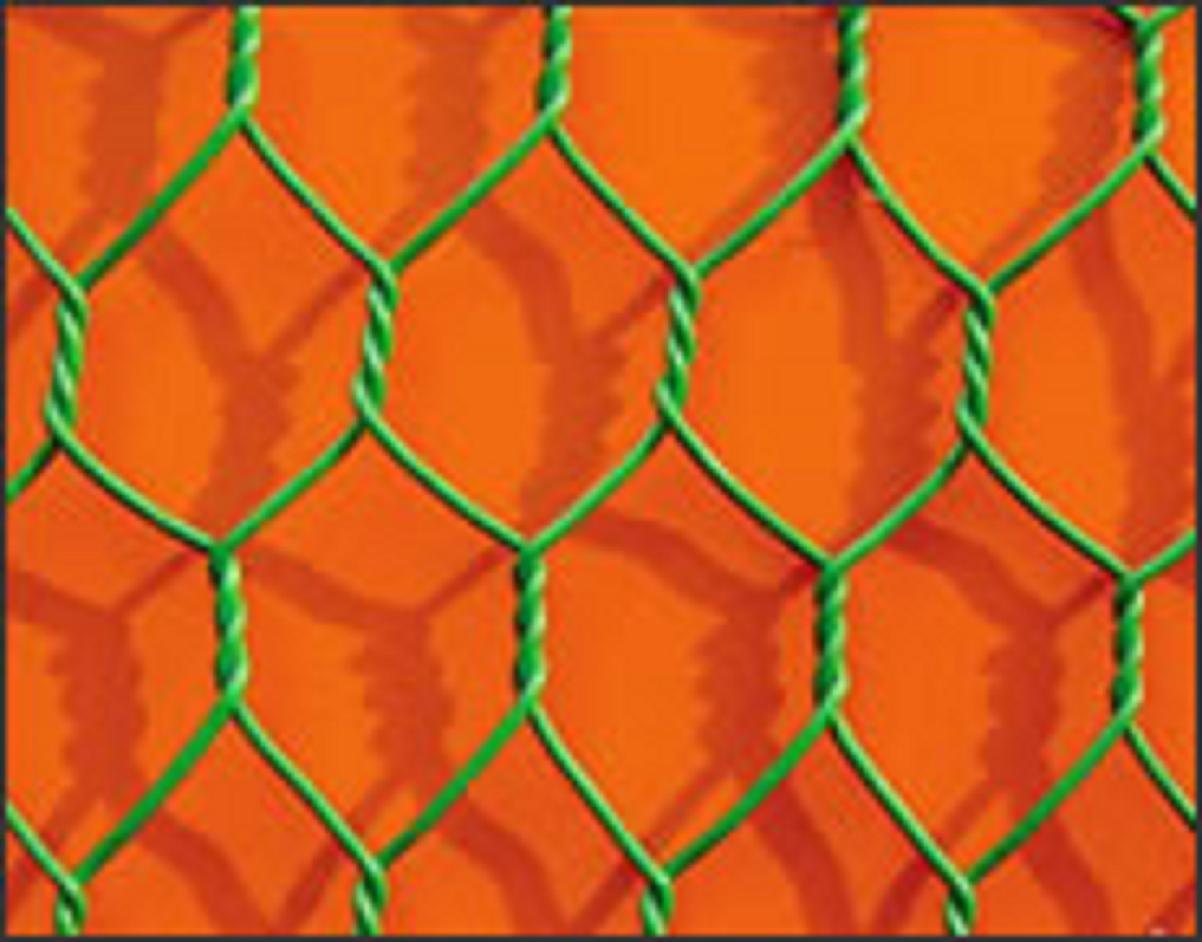 PVC Coated Poultry Netting (LY-S39)