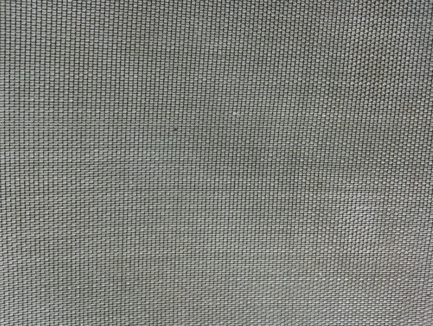 Insect Net