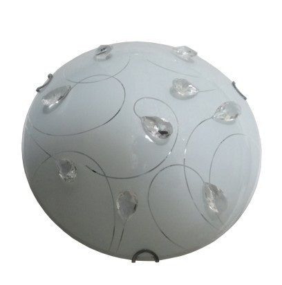 LED Ceiling Light