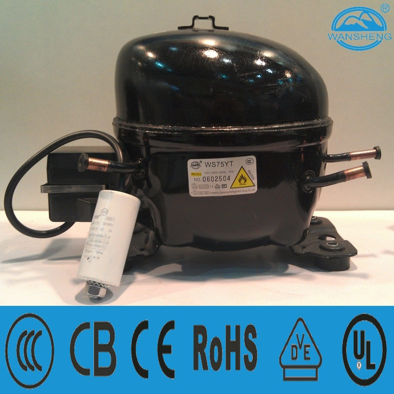 R600A Good Quality Refrigeration Compressor Ws75yt