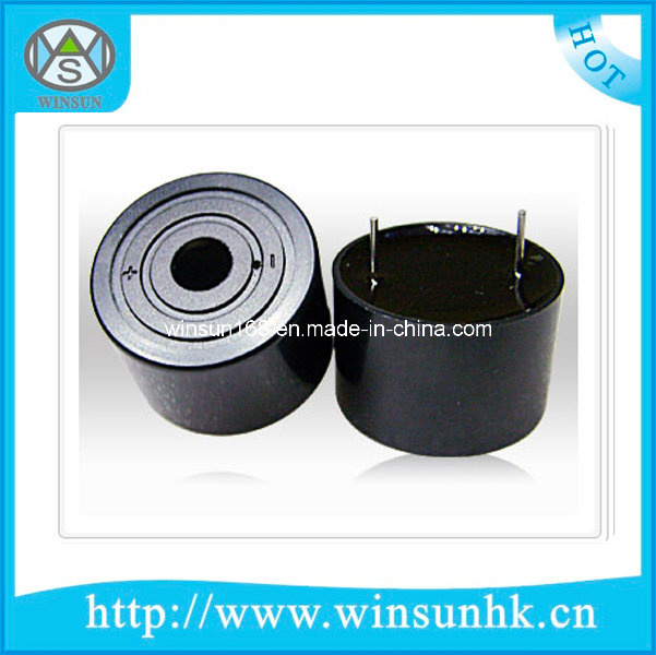 High Cost Performance D24xh16mm Internal Drive Piezo Buzzer
