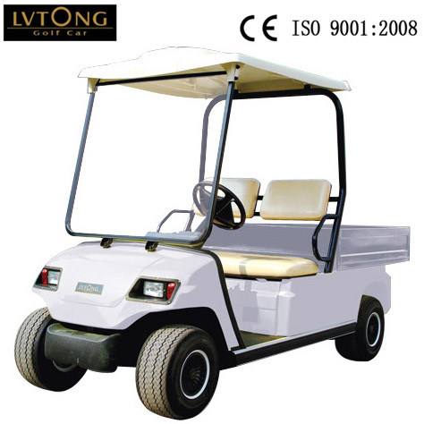 Two Seater Battery Car for Restaurant