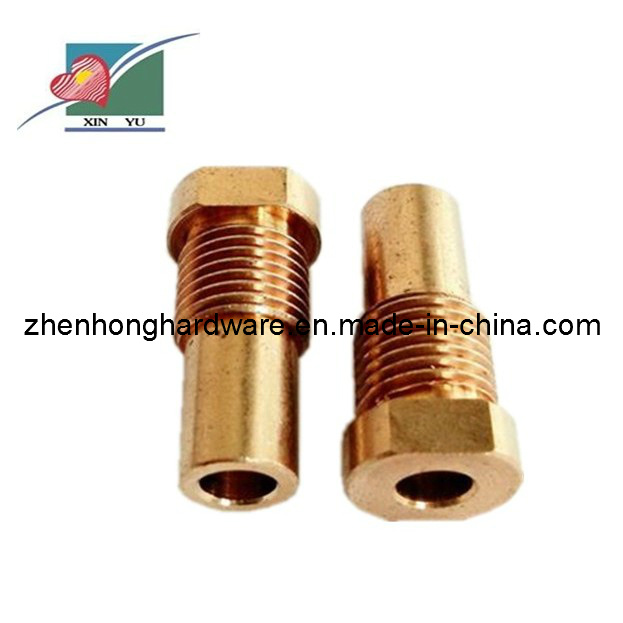 Water Heating Accessories Brass Fasteners (XINYU-C-001)