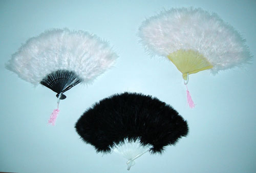 Feather Fun