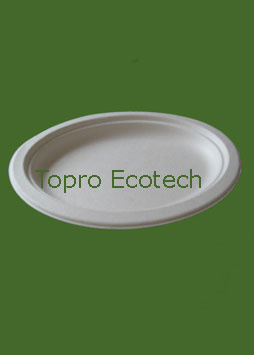 Biodegradable Tableware