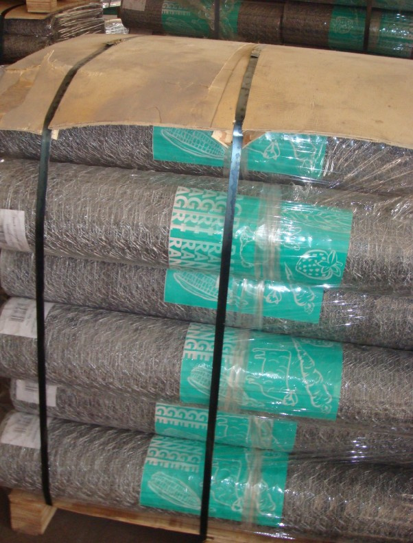 Hot Dipped Galvanized Wire Hexagonal Wire Netting