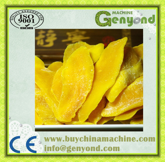 Industrial Complete Sliced Mango Processing Line