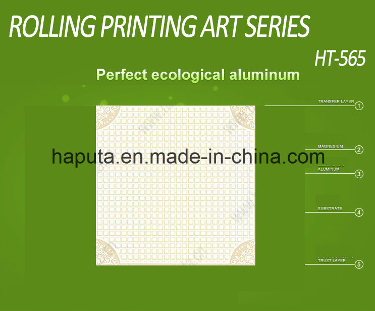 Interior Ceiling, Interior Ceiling Panel, False Ceiling