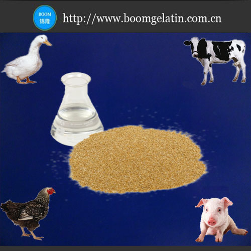 Choline Chloride