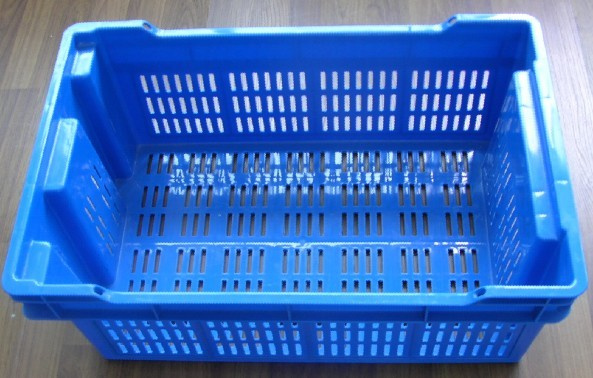 Plastic Injection Mold