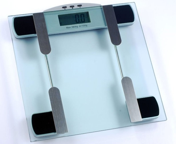 Body Fat Scale