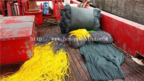 Trawl Net (PE net)